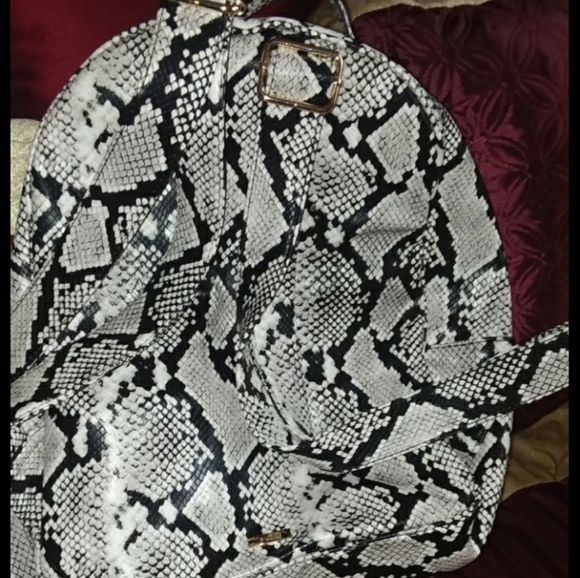 Backpack - Picture 2 of 2